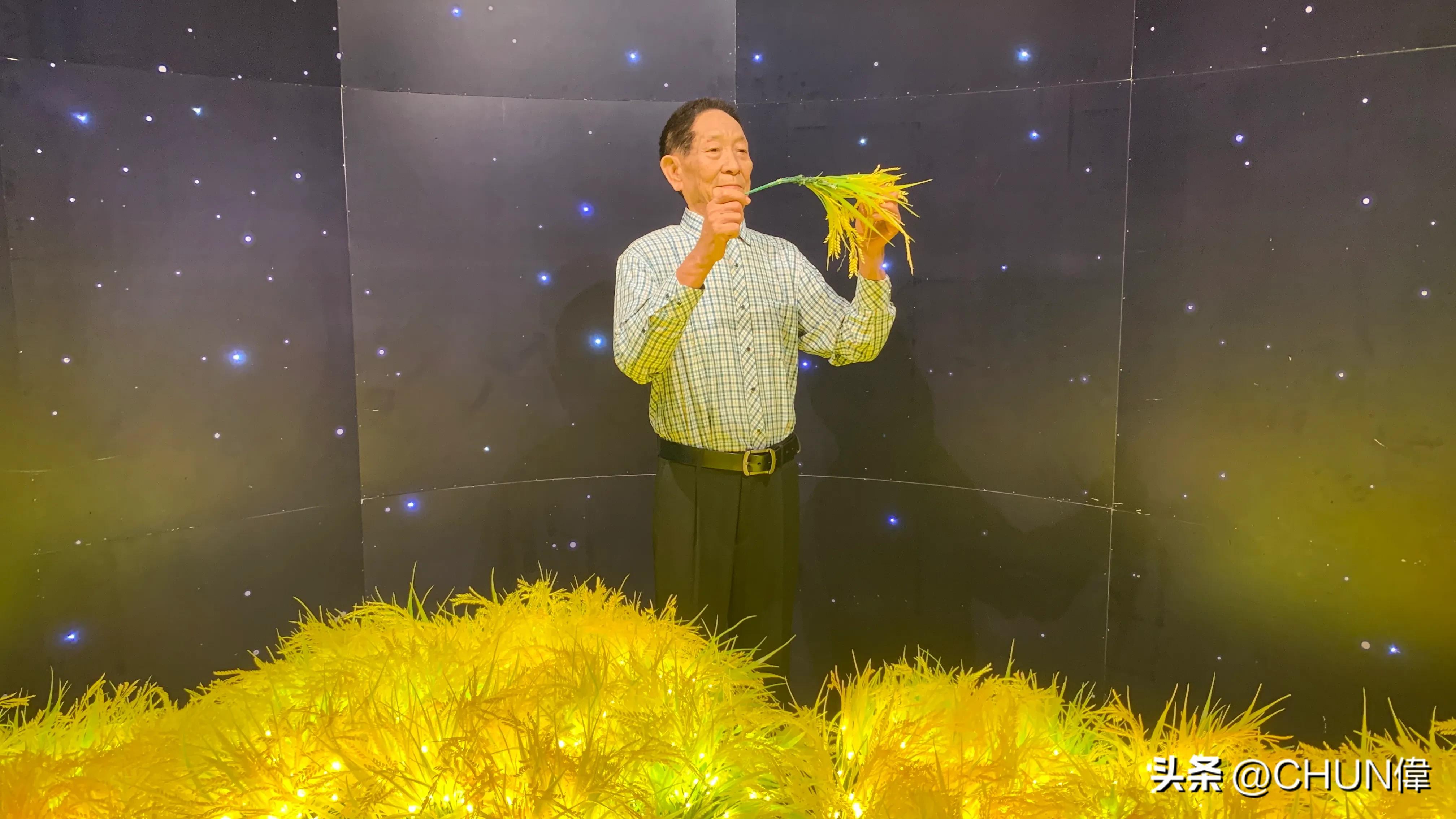 自由行厦门鼓浪屿四天怎么安排,鼓浪屿一日游五一