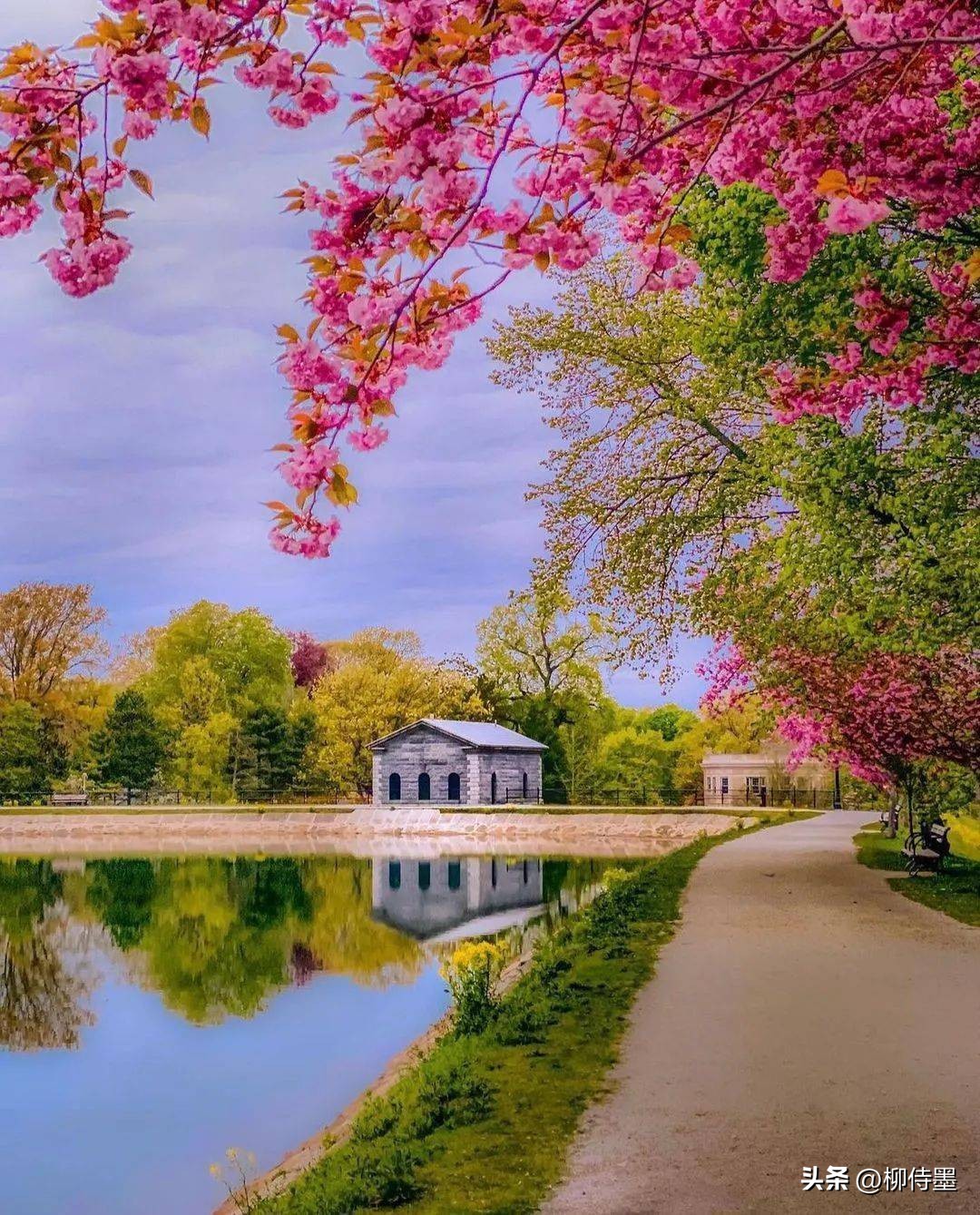 一个摄影技巧，提升拍照质量，照片好看十倍