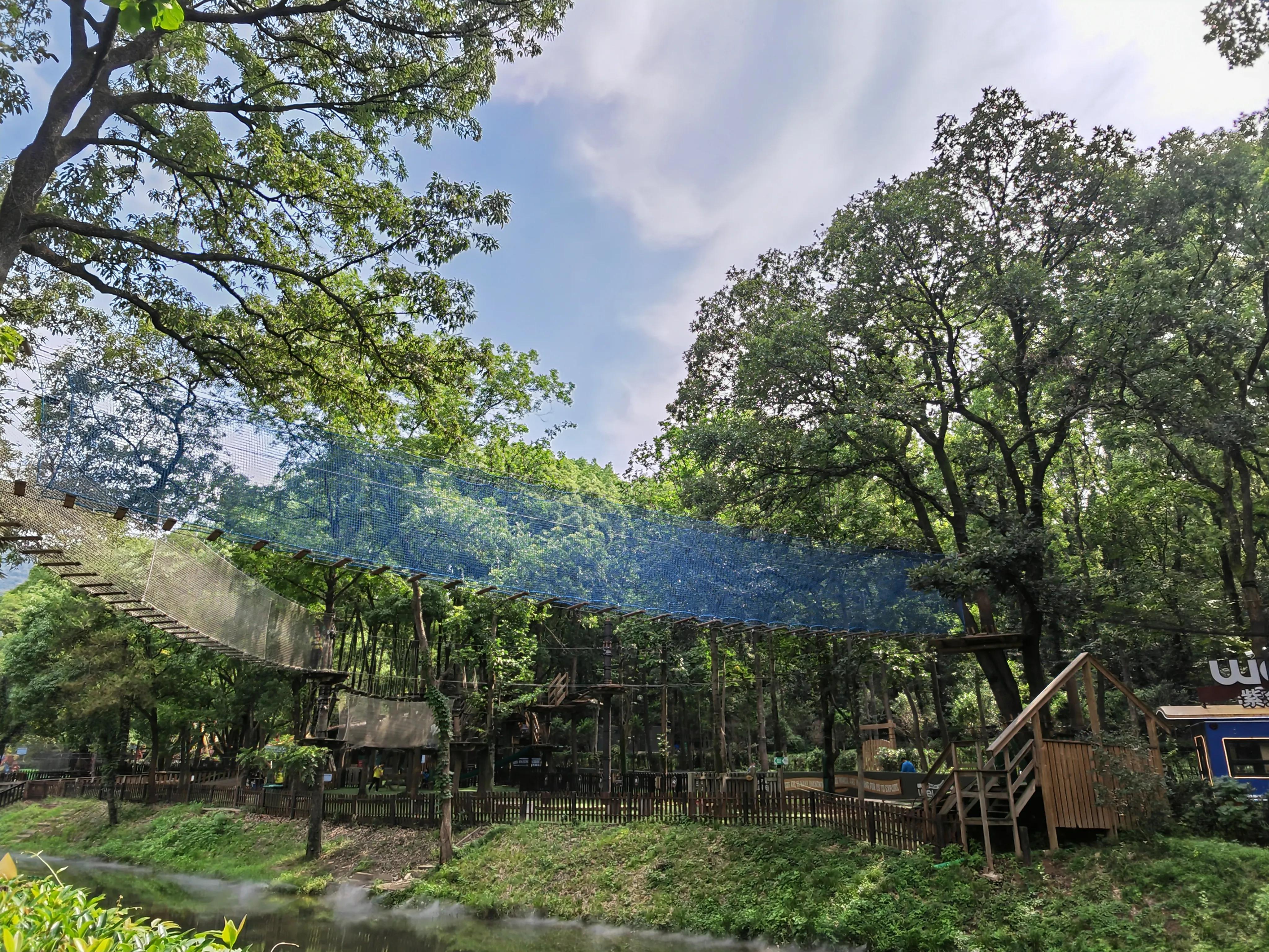 南京带孩子旅游攻略最新,南京亲子游玩攻略一日游价格