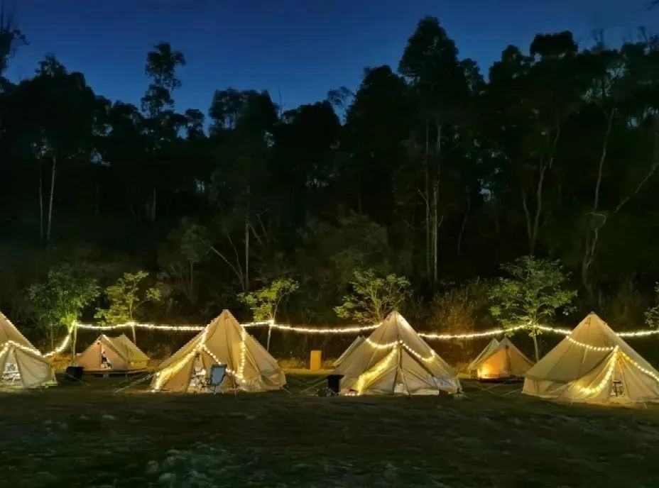 香港新晋的明星,现身厦门的香港明星