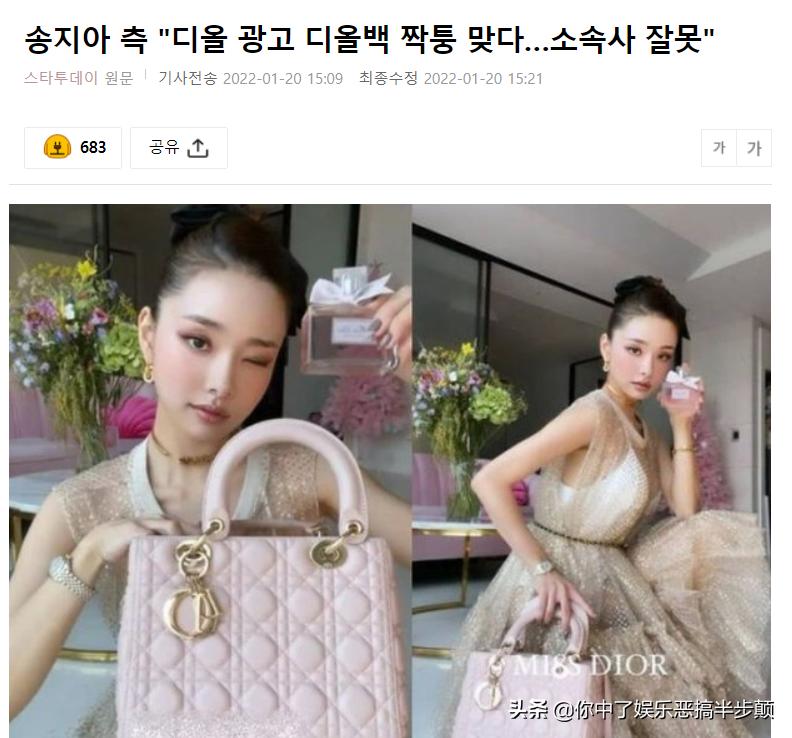 宋智雅假名牌事件,宋智雅假名牌事件后续