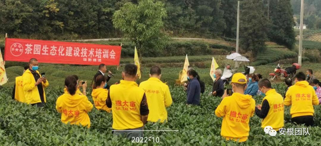 如何引导农民合作社发展,我国农民合作社发展的政策机遇