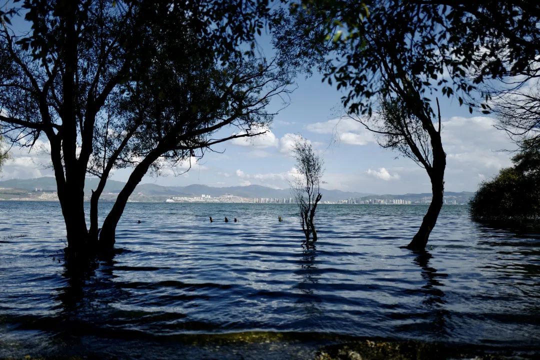 这个8月，在大理躺平的年轻人开始告别