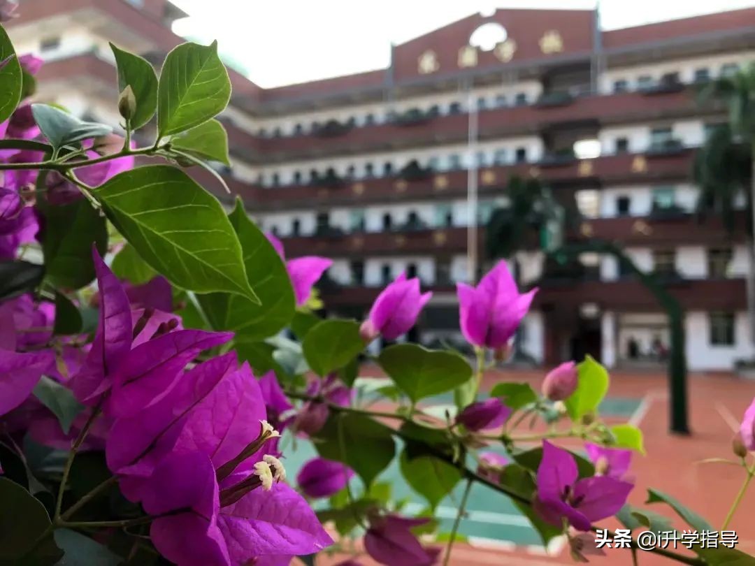 厦门东浦学校招生标准,厦门翔安一中小升初怎么报名