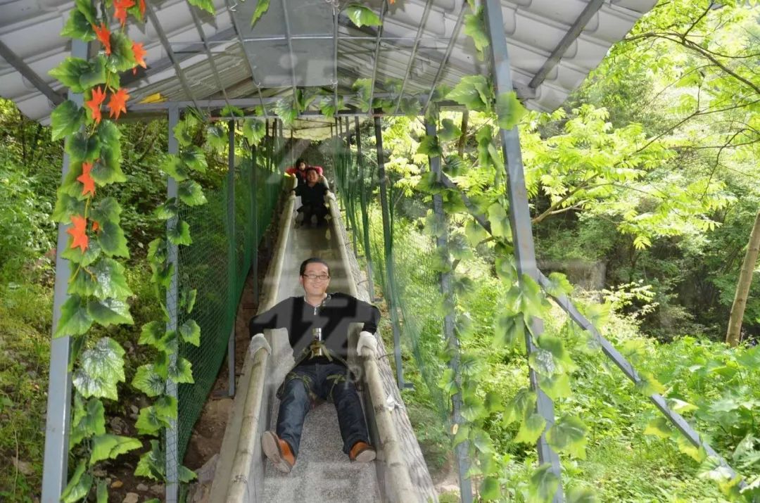 栾川避暑度假哪里吃住最舒心,洛阳栾川旅游度假攻略