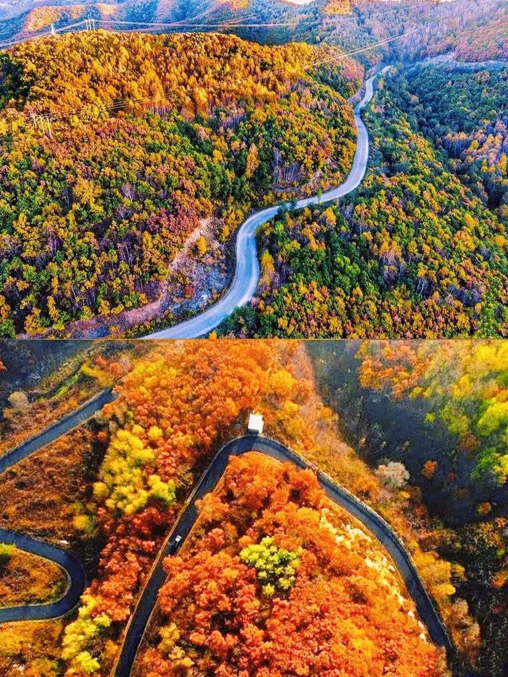 一入秋北京就变成了北平原文,一入秋北京就成了北平是谁说的