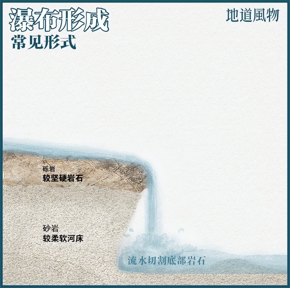 Ta的最佳观赏期到了,这个夏天安排上!