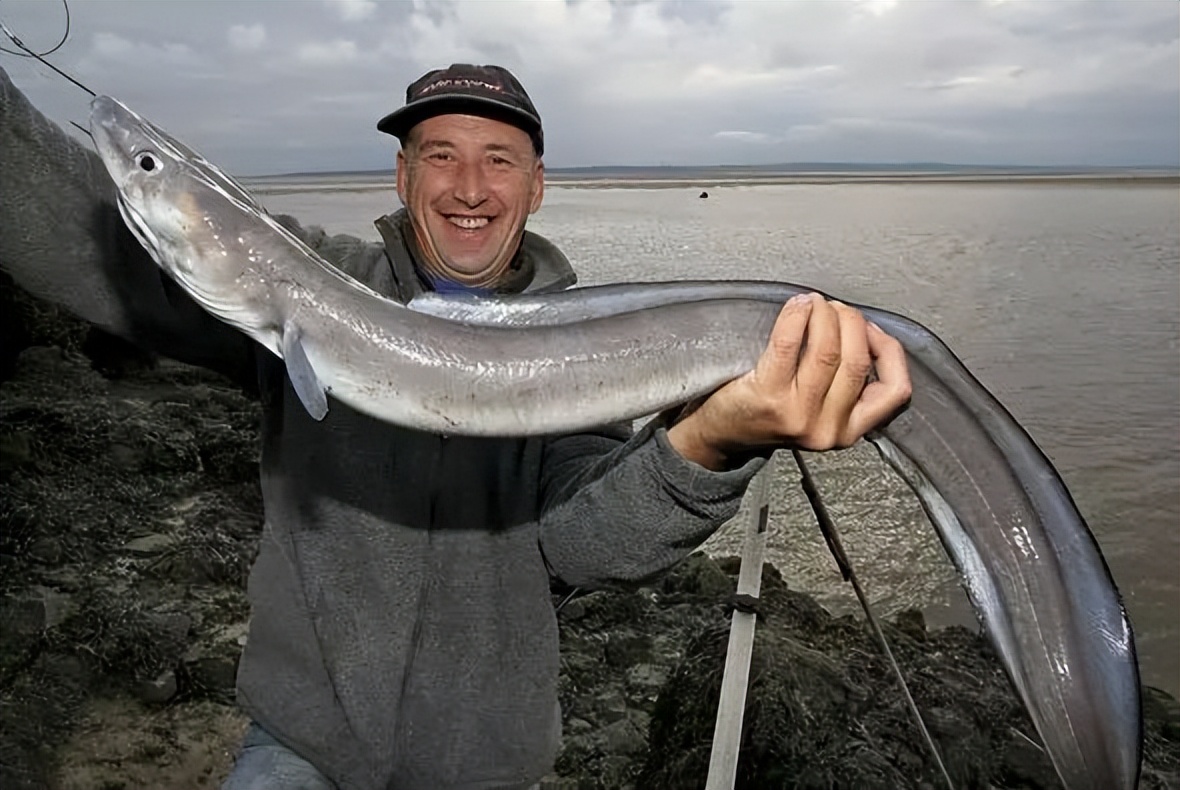 十种颜值最高的鱼,这些长相奇怪的鱼你认识几条