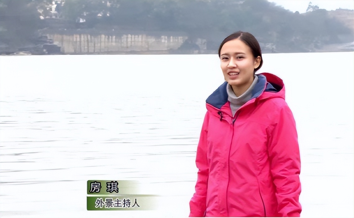 李雪琴的深度解析,对李雪琴塑料袋理论的看法