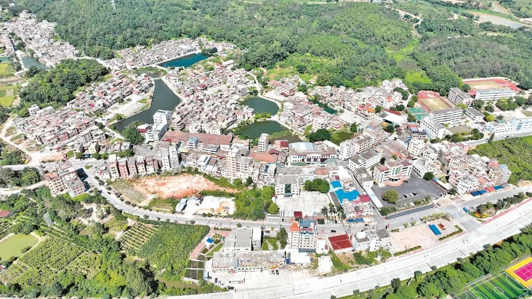 喜迎二十大|水台镇：东融桥头堡康养美水台