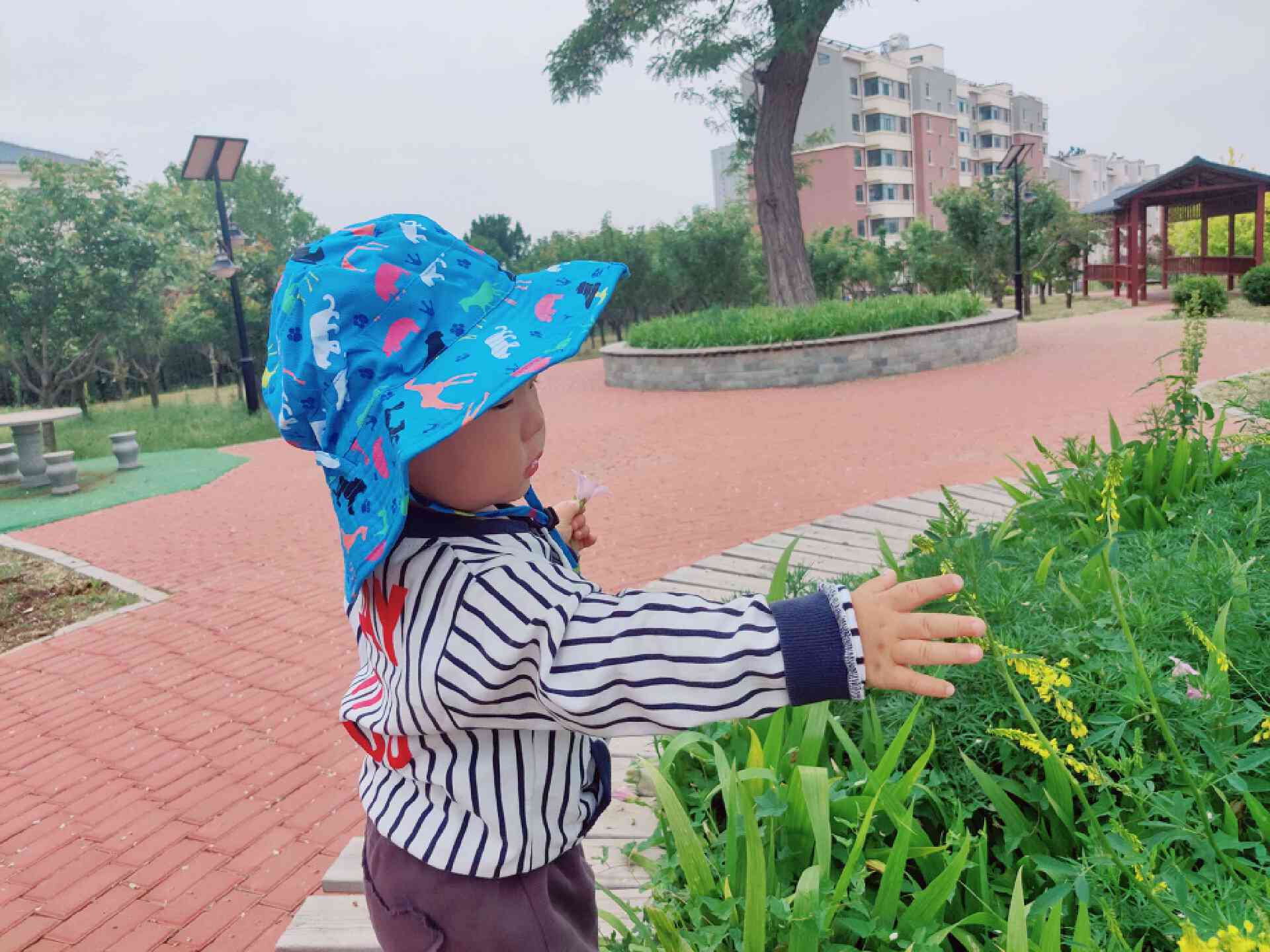 外出旅行遛娃必备物品图片,带宝宝旅行的必备好物