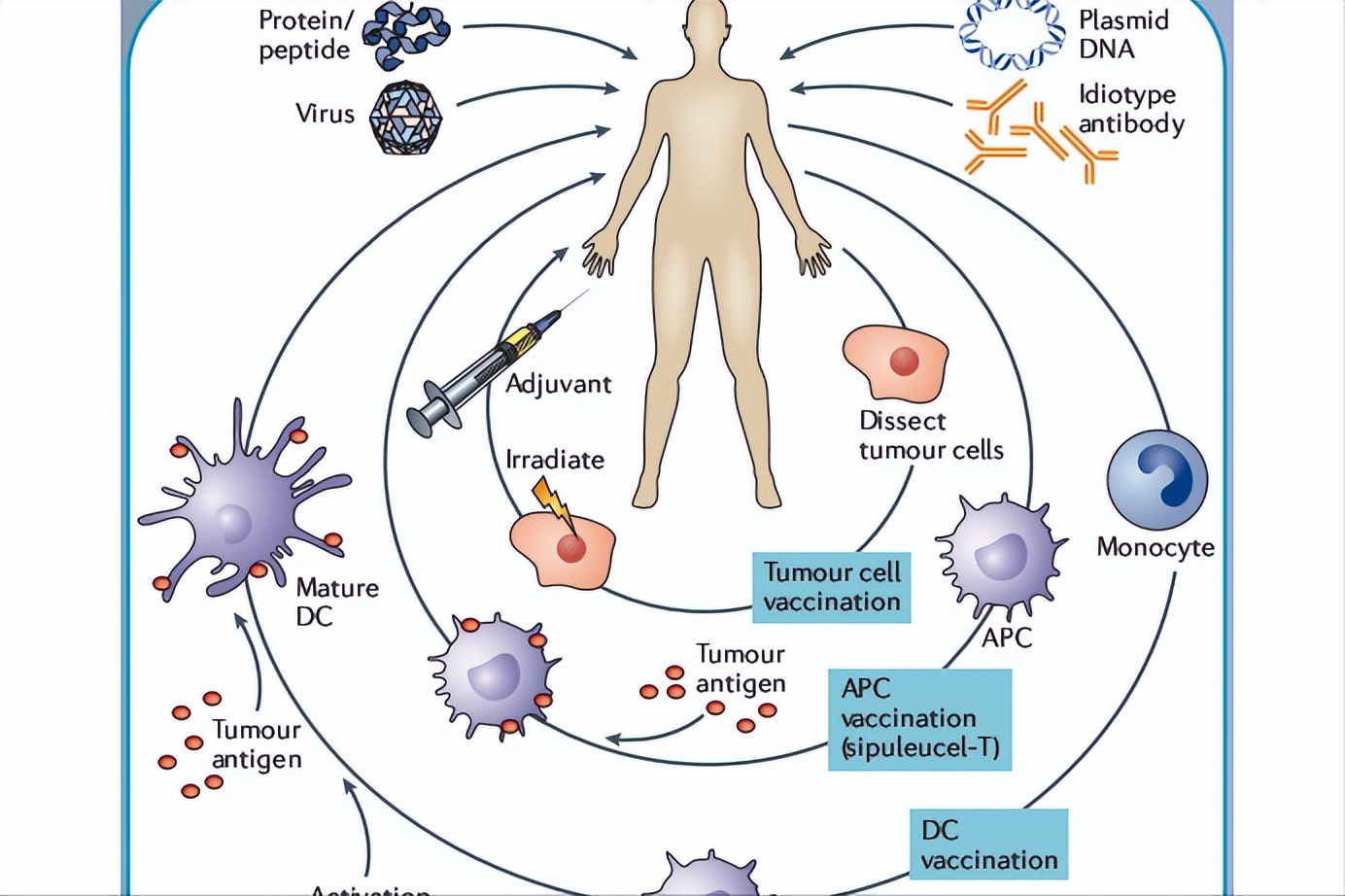 骨折以后要注意什么饮食呢,骨折后饮食应注意哪些呢