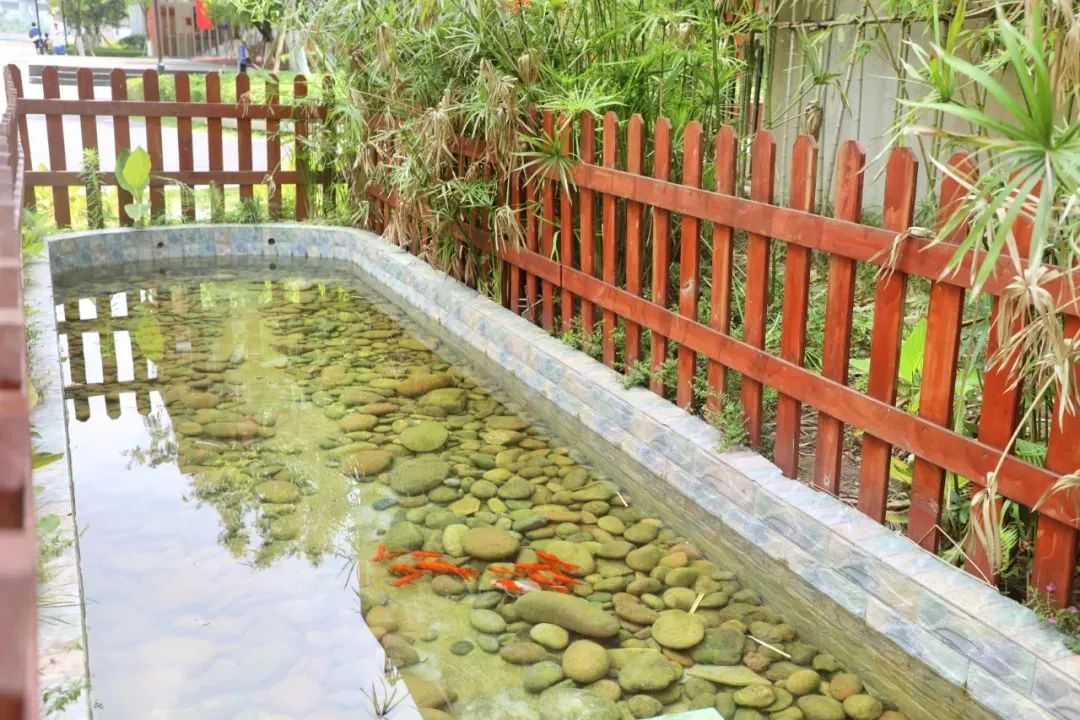 华师大中旭学校,华师中旭怎么样