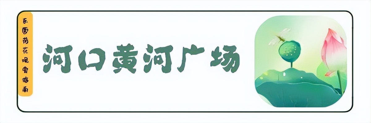 荷你有约环创,荷你有约完整视频