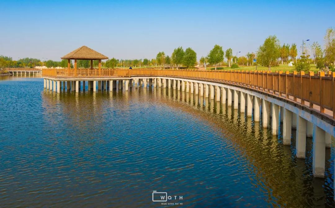 生态城城市公园,规划生态体育公园