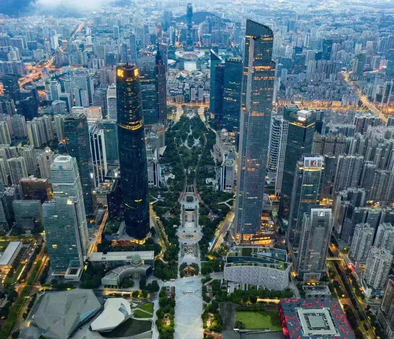 农村种植茶树的前景,种一亩茶树一年的收入多少钱