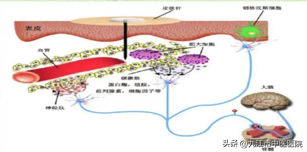 杏林春暖中医养生,杏林春暖中医视频