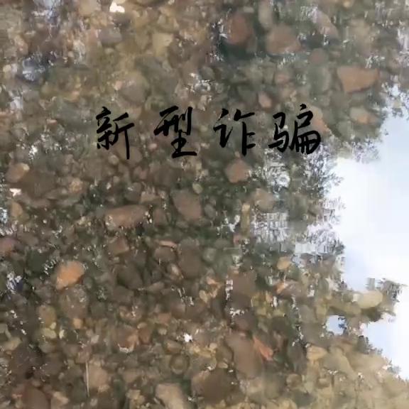 转发别人的作品算违规吗,转发器