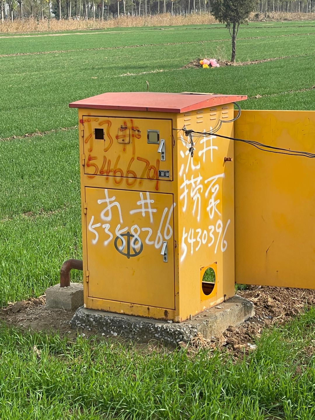 董董骑行山东,懂懂骑山东