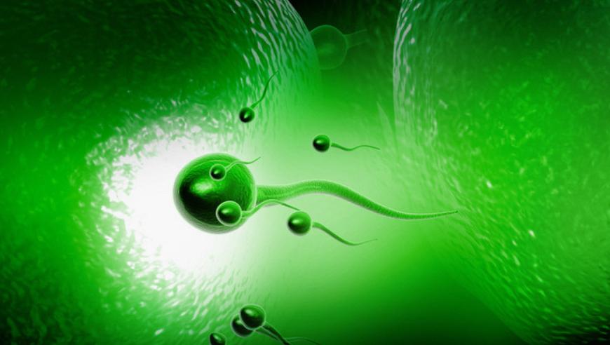 女神纪——女性五万年的辉煌与悲歌