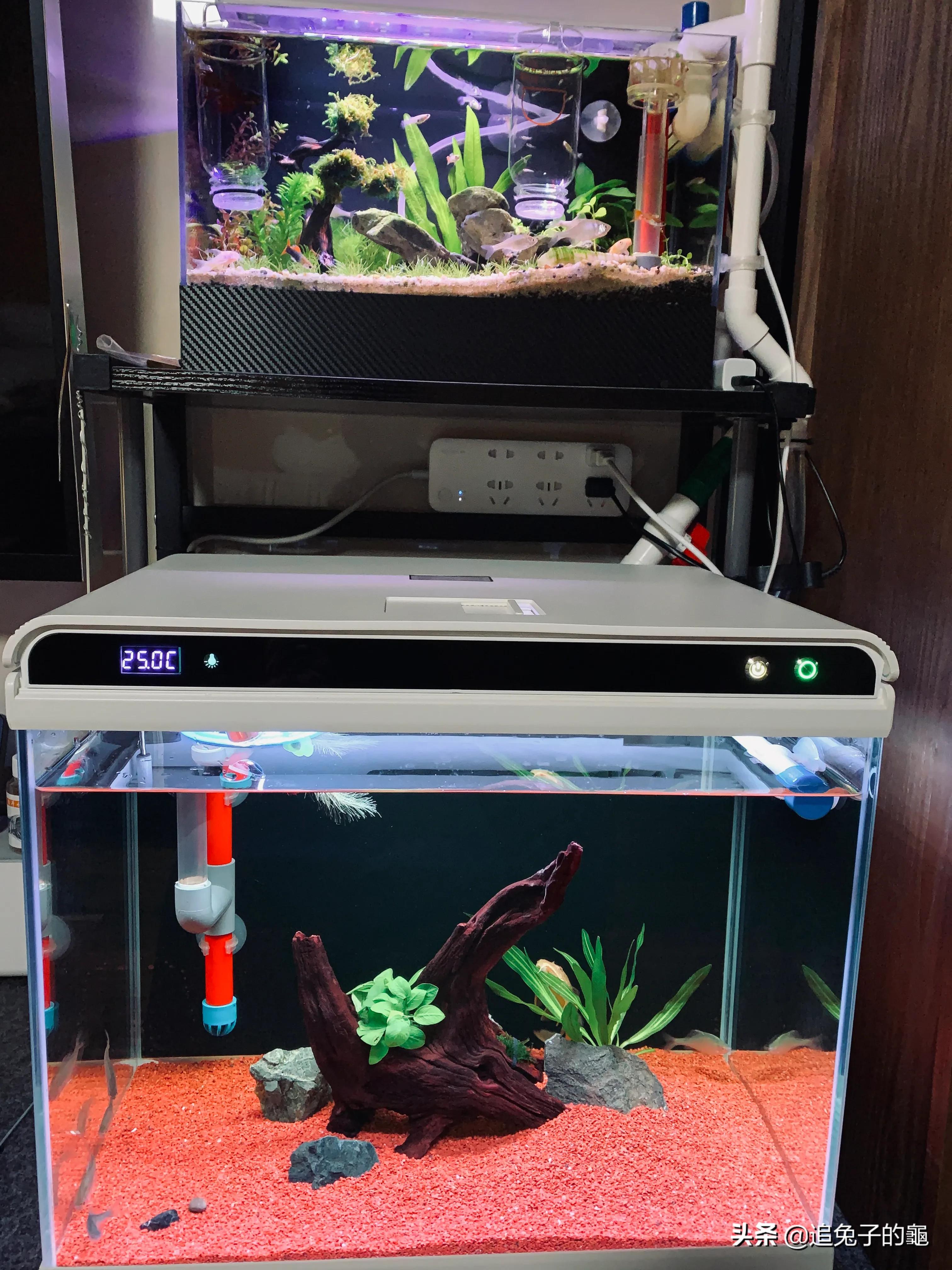 养鱼大坑,养鱼坑必须是万丈深渊