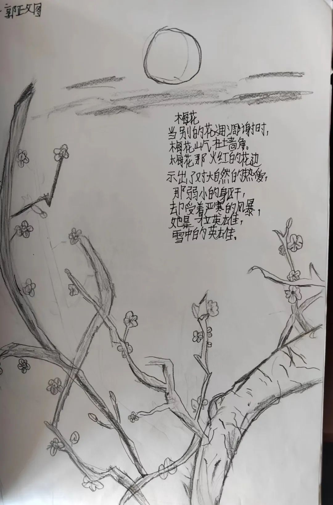 中小学教学常规管理督查通报,抓教学常规检查促学校规范管理