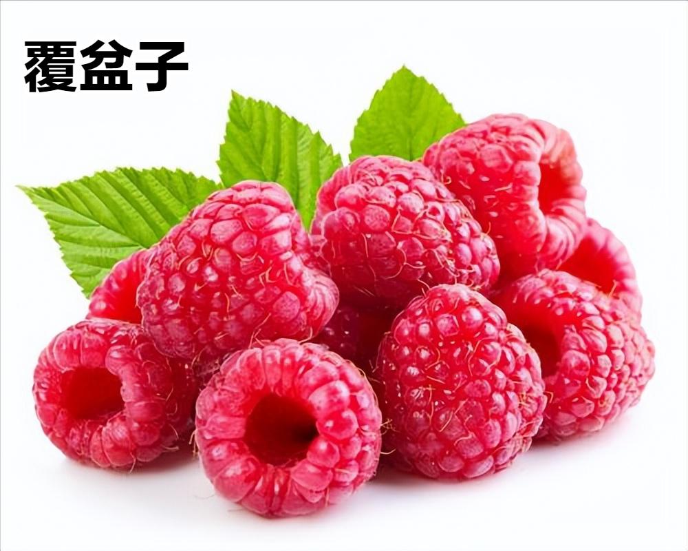 滋阴补肾壮阳填精补髓的中药,补肾益精养血益气的中药配方