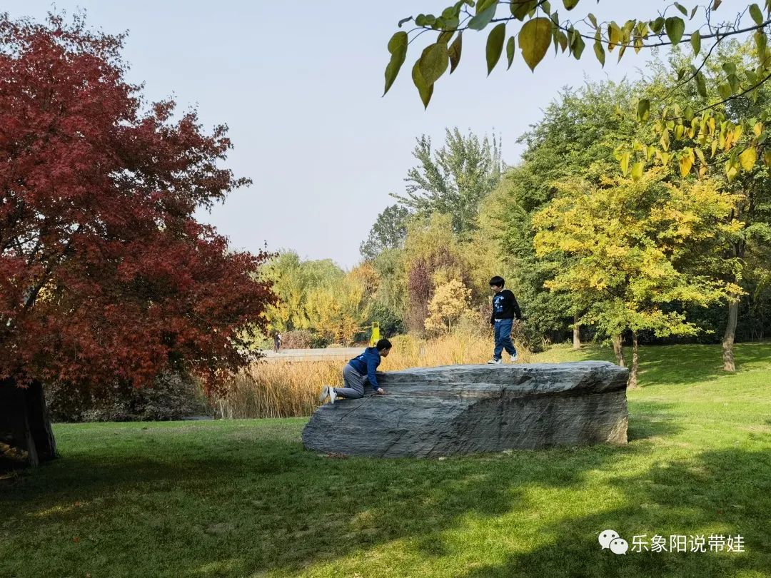 时间都去哪儿了小品完整版,时间都去哪儿了感悟