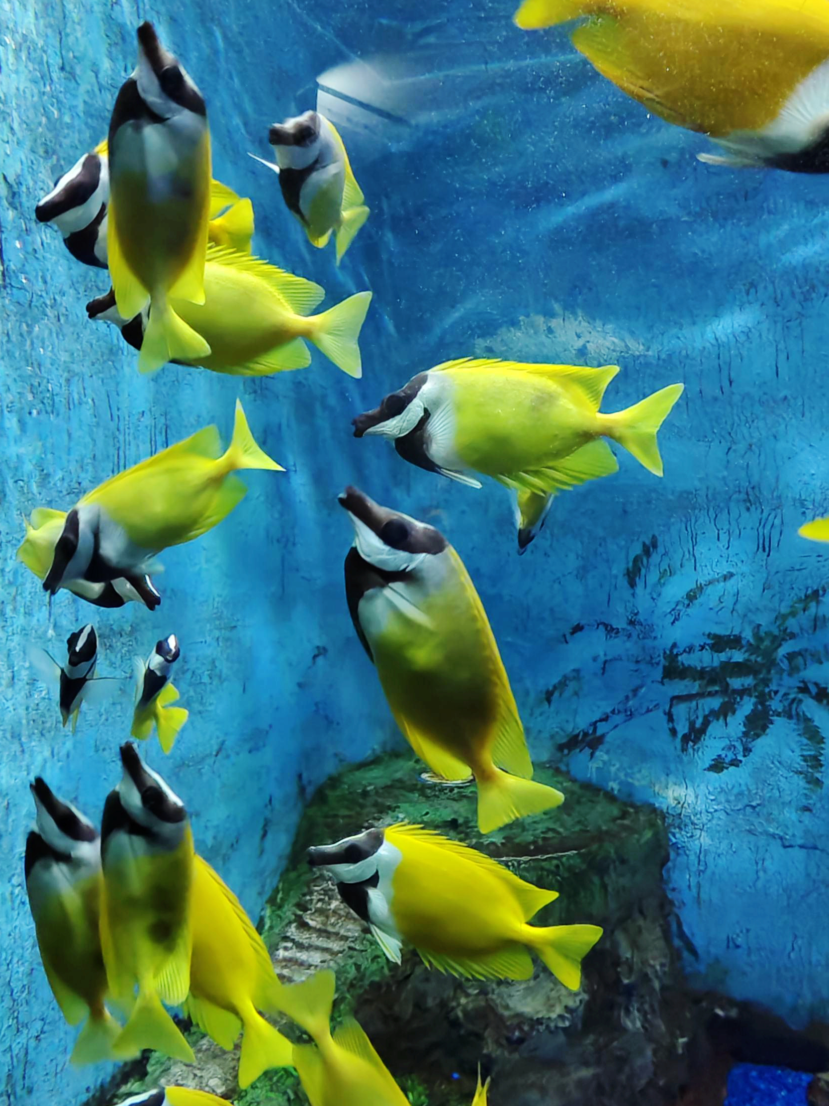 合肥海洋世界里面有儿童乐园吗,带娃去合肥海洋馆游玩攻略