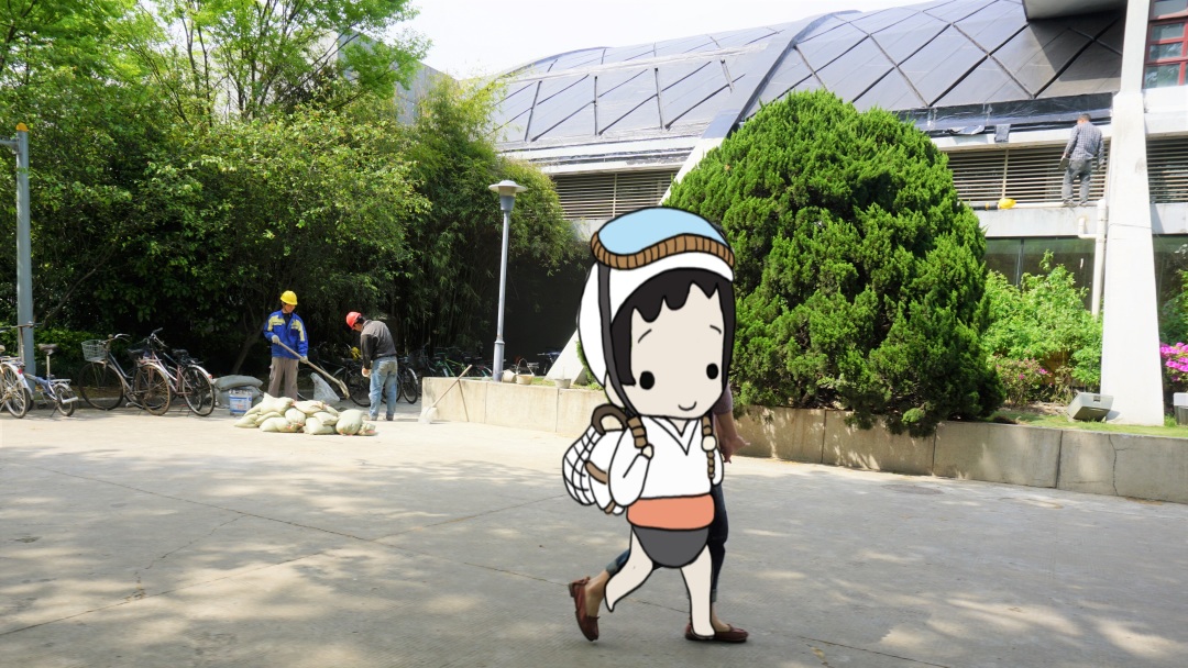 同济大学有多漂亮,同济大学的浪漫