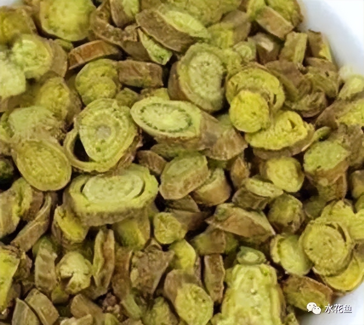 12种水产病害防治,你对水产动物病害的初步认识