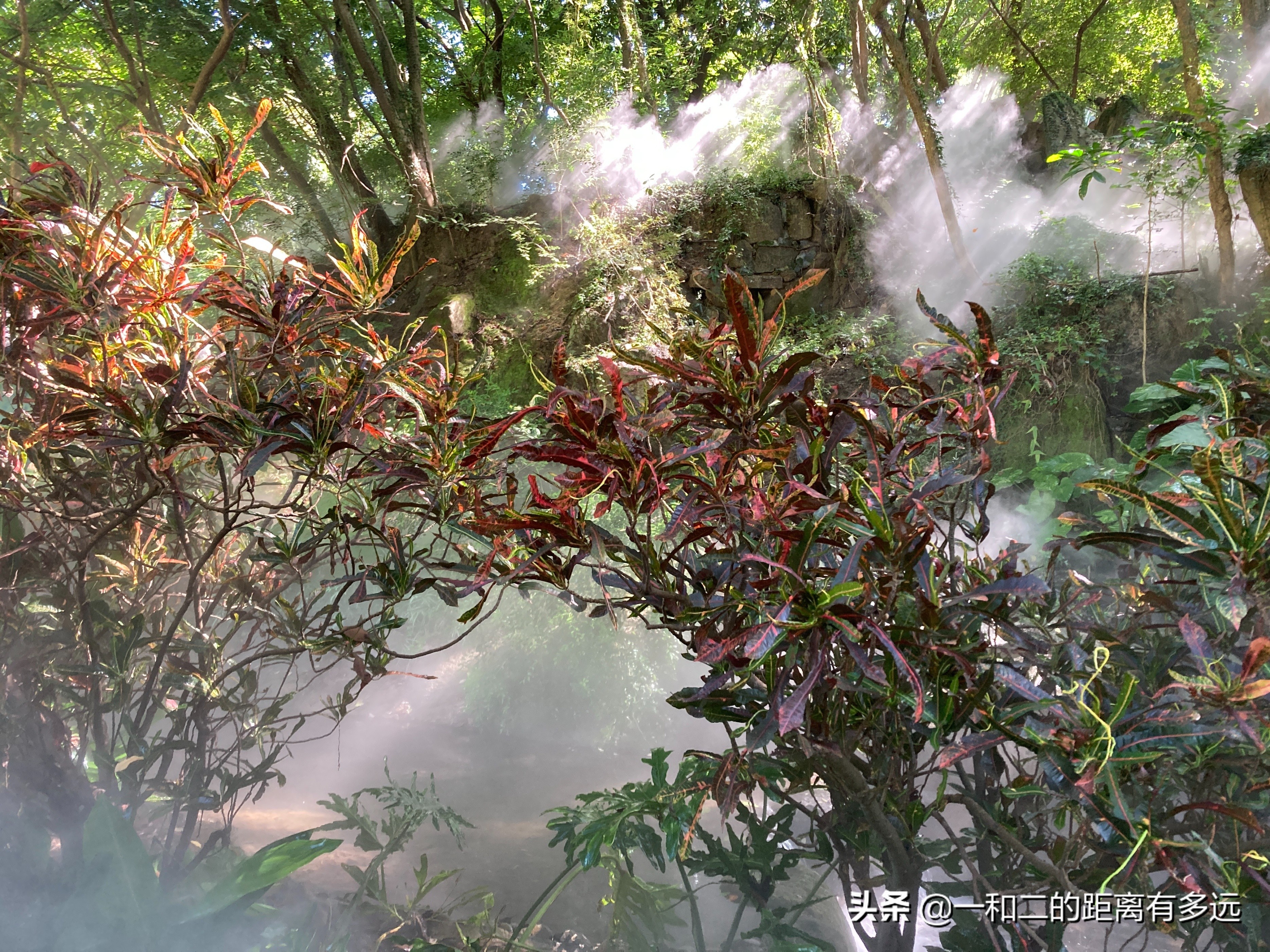 厦门自由行3天2夜完全攻略,厦门自由行完全攻略