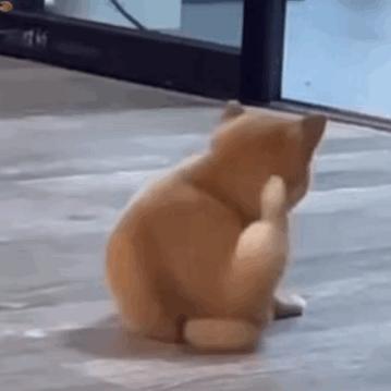 淘宝卖的0月租流量卡是真的吗,联通0月租纯流量卡9.9包15g