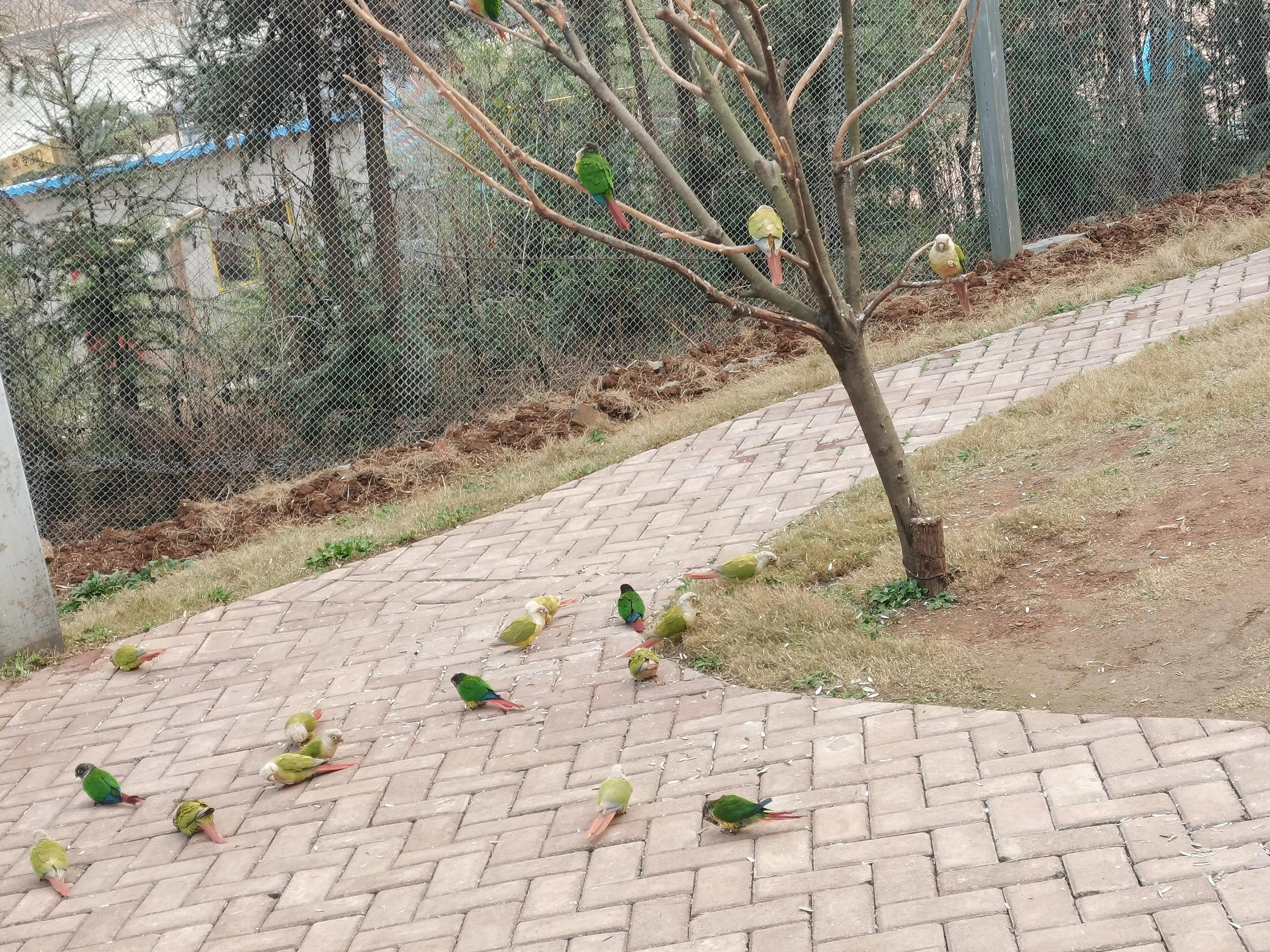 大洪山西游记公园攻略,大洪山西游记公园门票预订