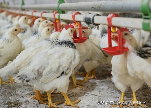 新型家庭农场的致富路,家庭农场的发展红利又将迎来高潮