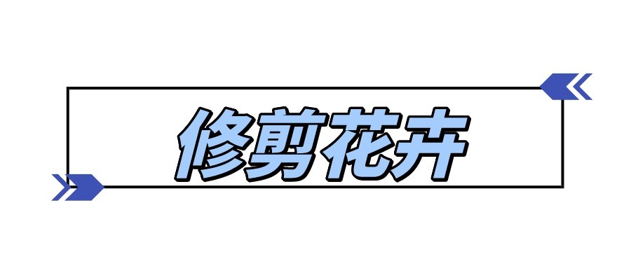 医用检查手套怎么用,最好用的医用检查手套