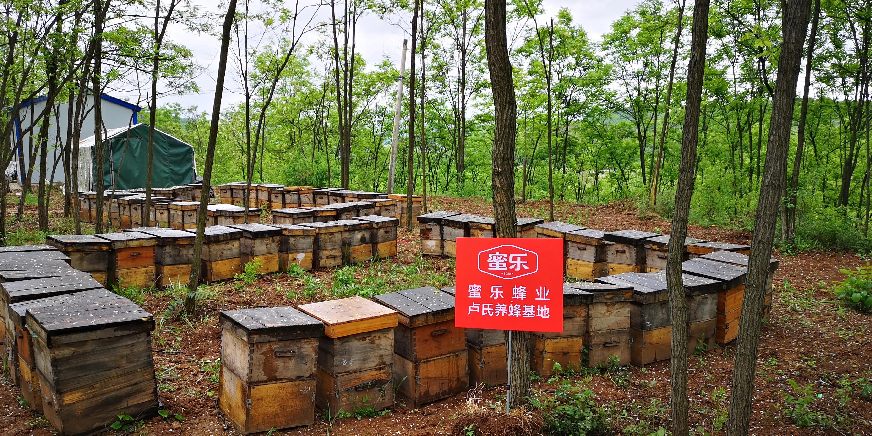 蜂蜜世界大奖,获得过蜂博会金奖的蜂蜜