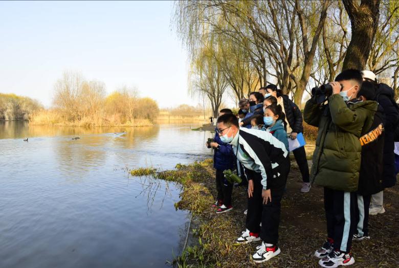 保护湿地环境还鸟儿健康家园——莲湖区沣惠路小学观鸟科普活动