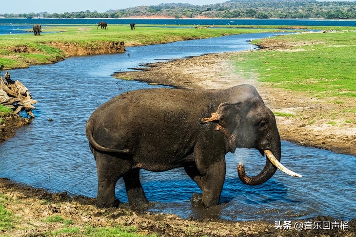 斯里兰卡打卡网红景点,斯里兰卡十大景点