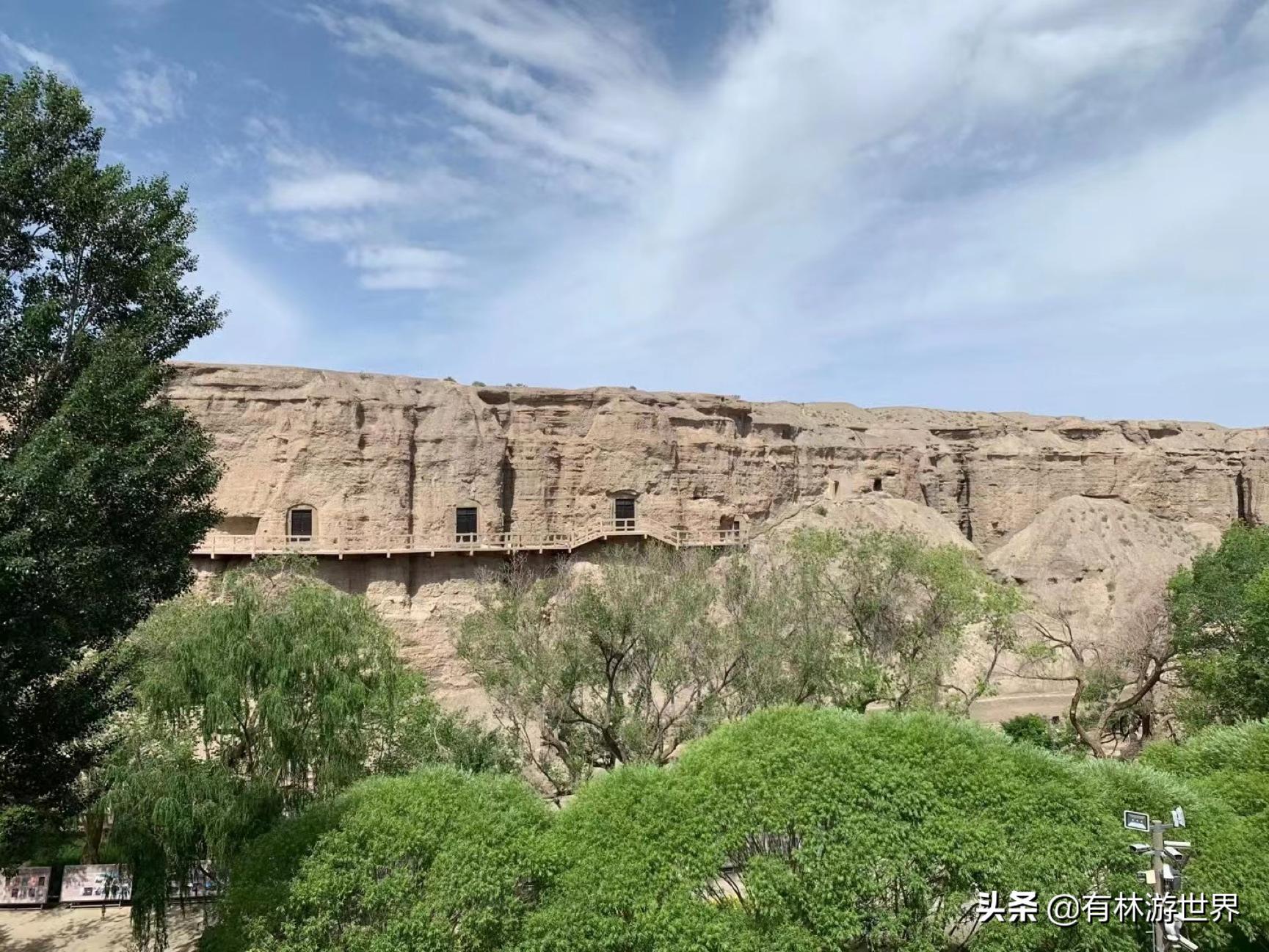 失业两年的旅游人,一个失业在家的旅游业者