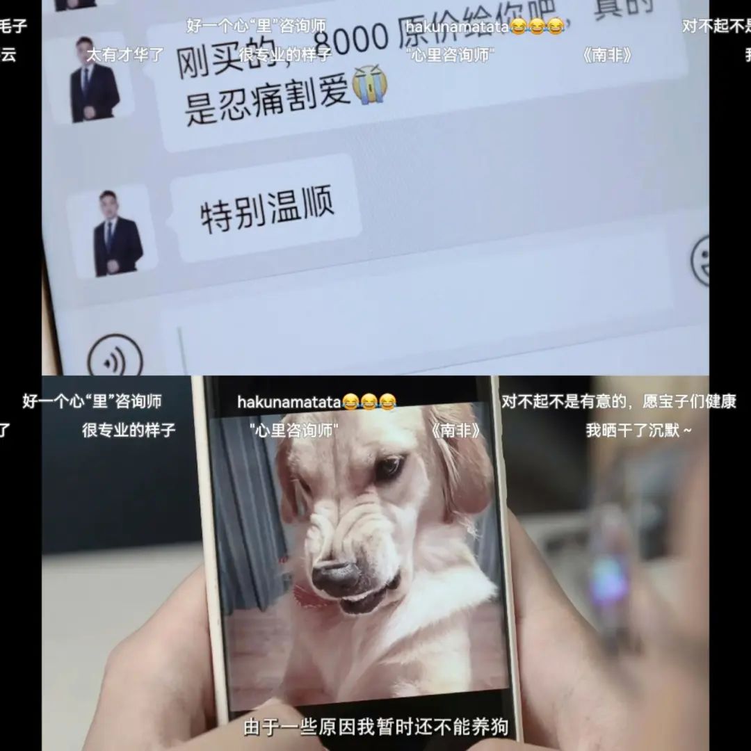 他养了一朵云当宠物,视频号7天涨粉50万|新榜专访