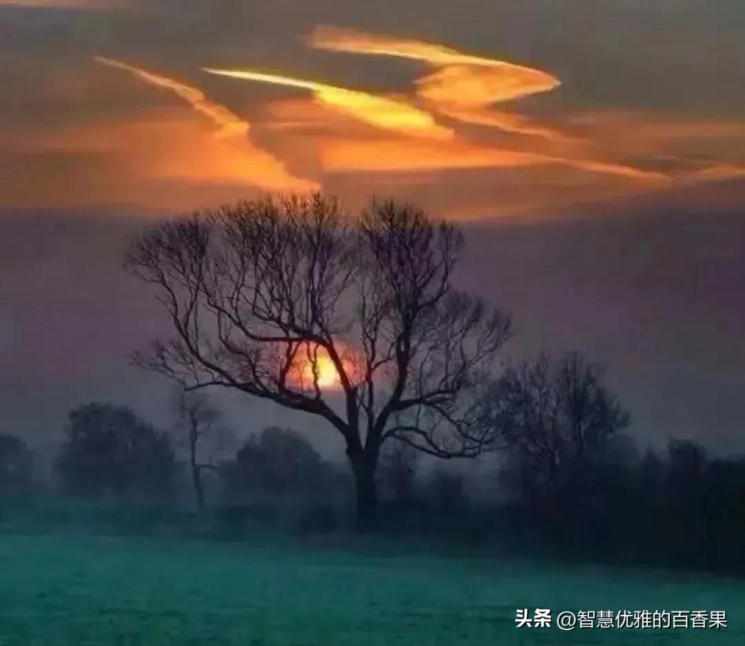 出身平民的家庭企业家成长经历,出身平民家庭的企业家的成长经历