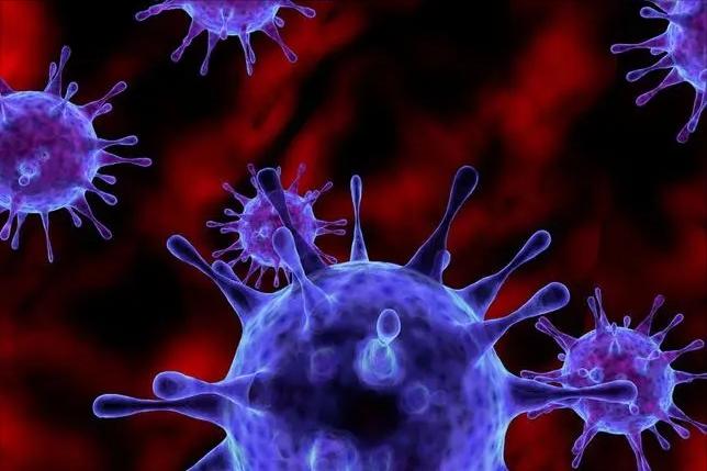 弯曲杆菌在什么地方有,弯曲杆菌有什么用