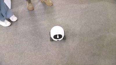 伴宠机器人自动陪玩、迷你胶囊装镜头…硬核“黑科技”产品云集|探营高交会
