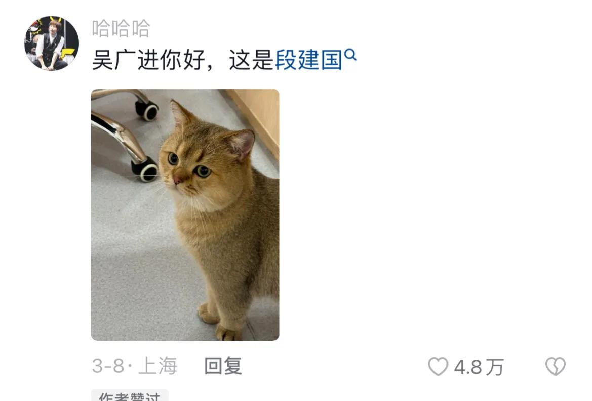 宠物取什么名字好听,取一个宠物名字