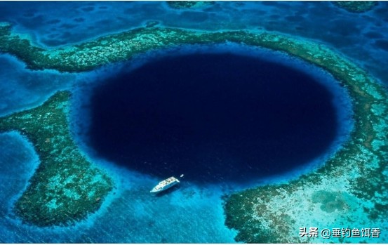 渔民捕捞2000公斤黄鱼卖957万,渔民获2.75公斤野生黄鱼