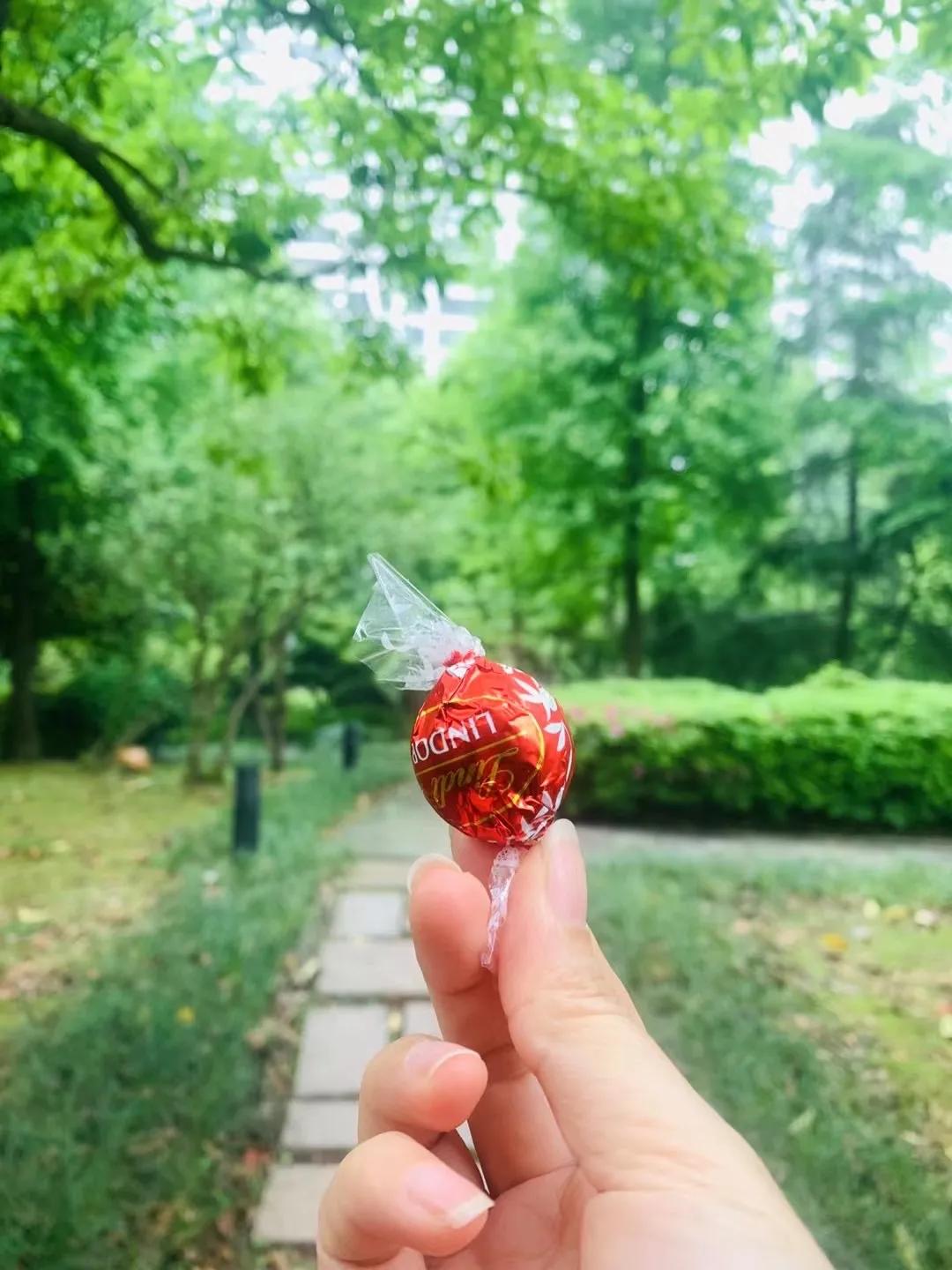 把2021，打个蝴蝶结