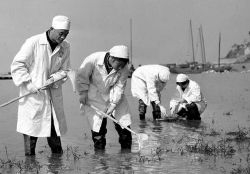 “蛊”究竟是什么？1958年我国蛊病泛滥成灾，毛主席亲自部署