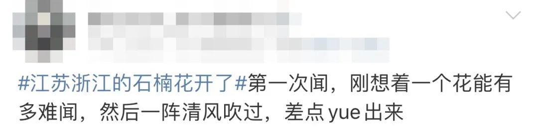 最近一种好臭的花,为什么这么臭的花还要种满条街