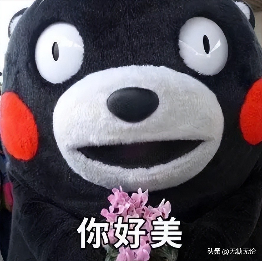 零基础考证券从业资格证,证券新手怎么学习